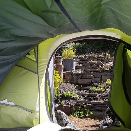 'Yellow Wood Micro Hostel-Eco Urban Bothy Style Very Basic But Cosy Redecorating But Cheap & Friendly Quiet Time Lockout 11Pm-7Am Bring Towel Or Hire Brecon Dış mekan fotoğraf