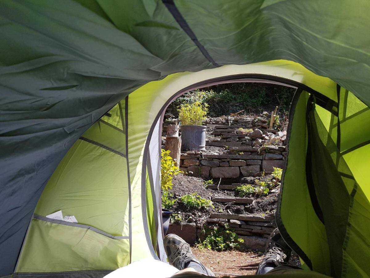 'Yellow Wood Micro Hostel-Eco Urban Bothy Style Very Basic But Cosy Redecorating But Cheap & Friendly Quiet Time Lockout 11Pm-7Am Bring Towel Or Hire Brecon Dış mekan fotoğraf