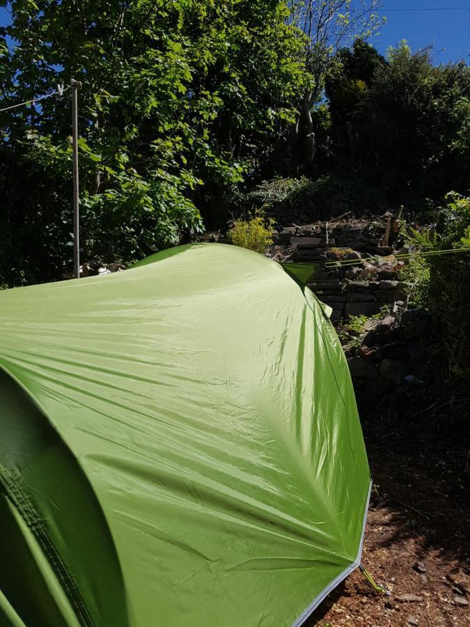 'Yellow Wood Micro Hostel-Eco Urban Bothy Style Very Basic But Cosy Redecorating But Cheap & Friendly Quiet Time Lockout 11Pm-7Am Bring Towel Or Hire Brecon Dış mekan fotoğraf